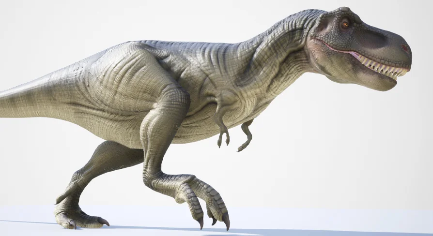 Tyrannosaurus Rex