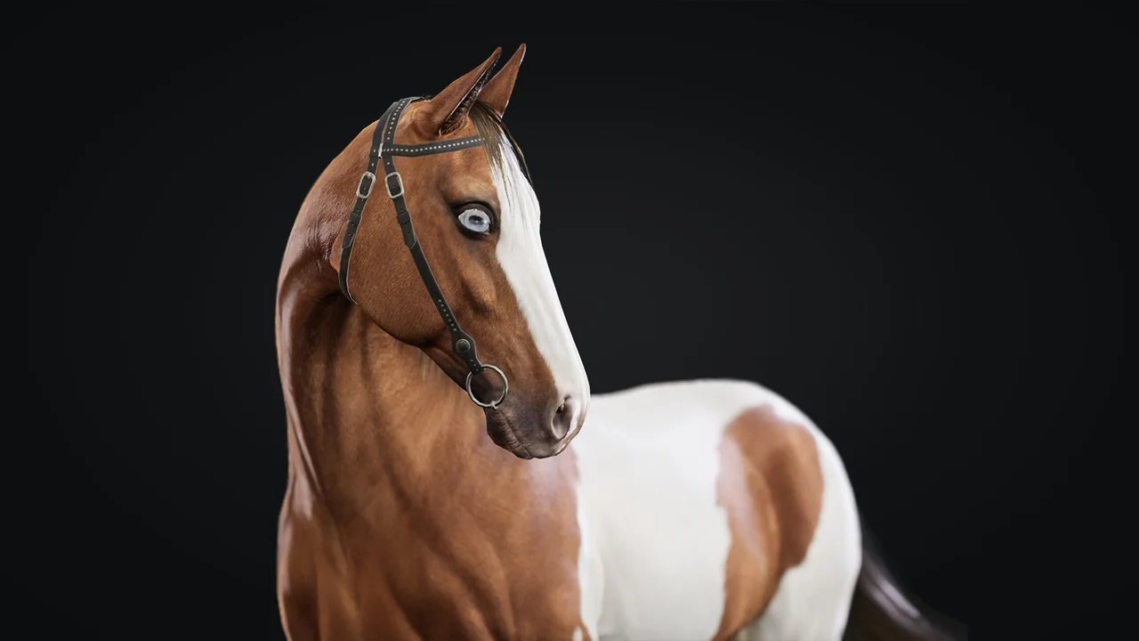 Horse Herd