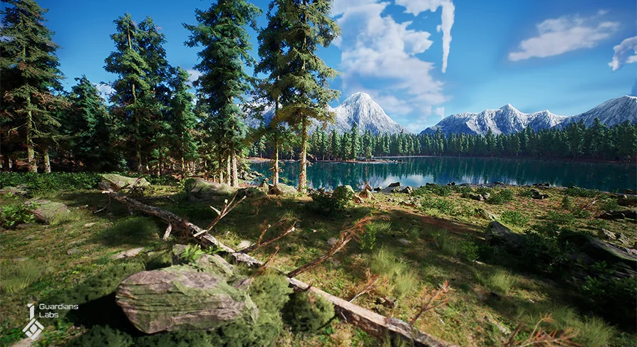 Norway Spruce Tree Pack, Picea Abies