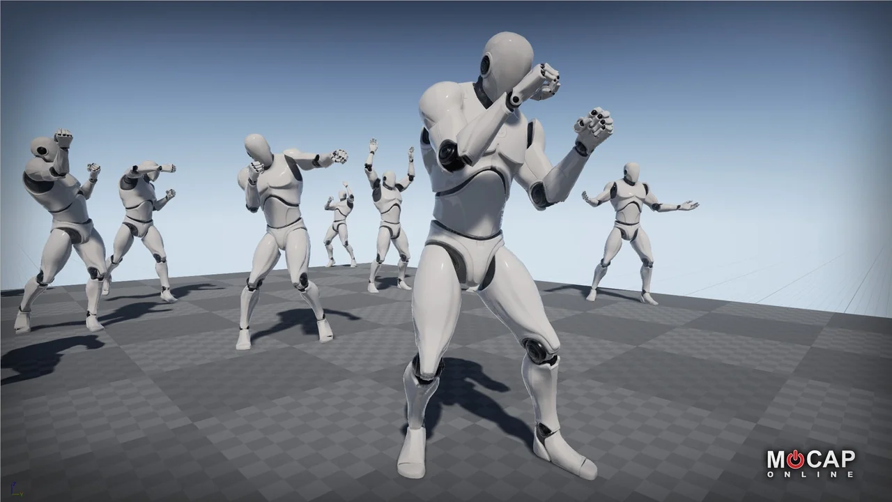 Punch Pro - MoCap Pack