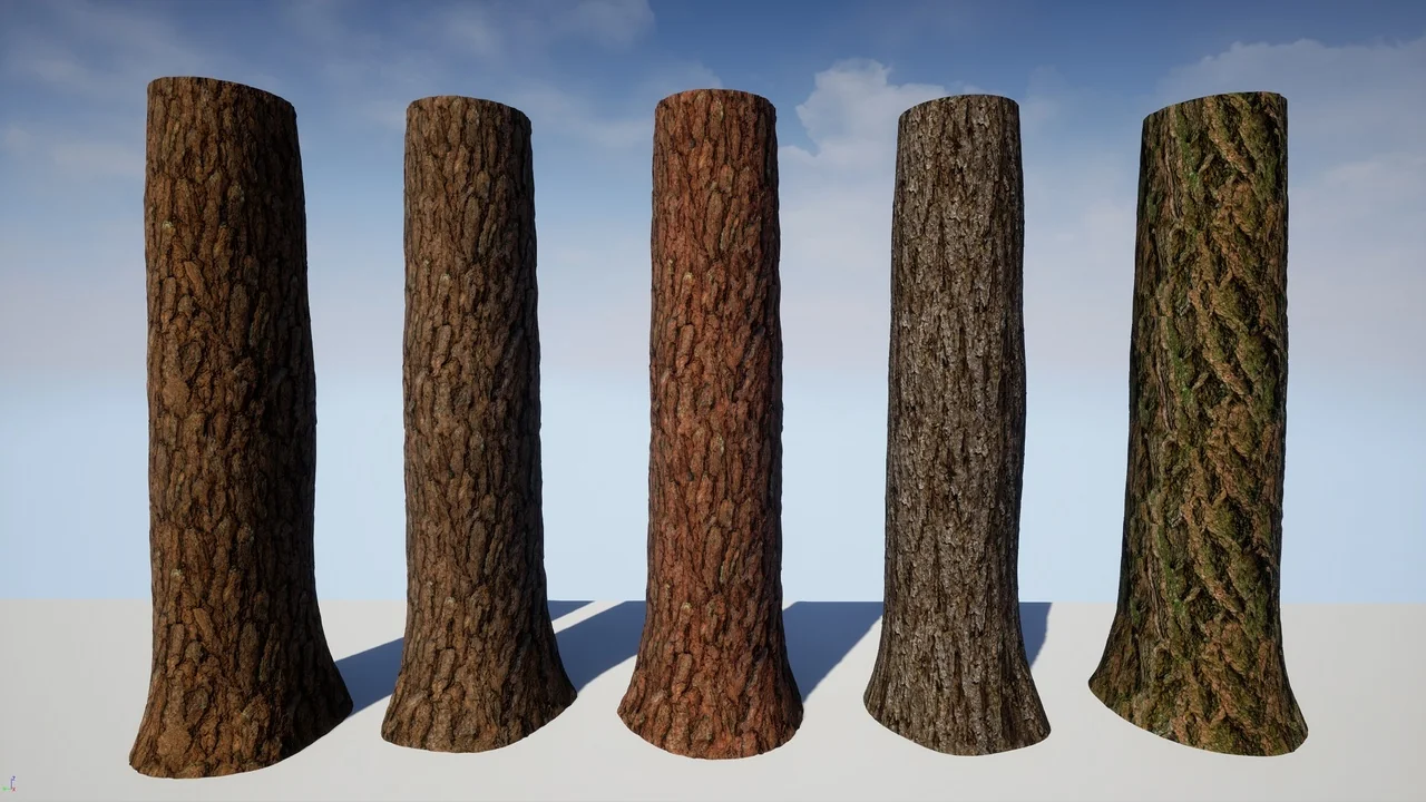Tree Bark Collection