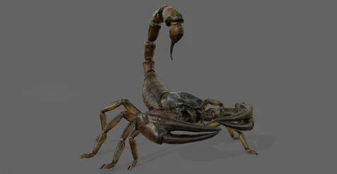 Giant Scorpion