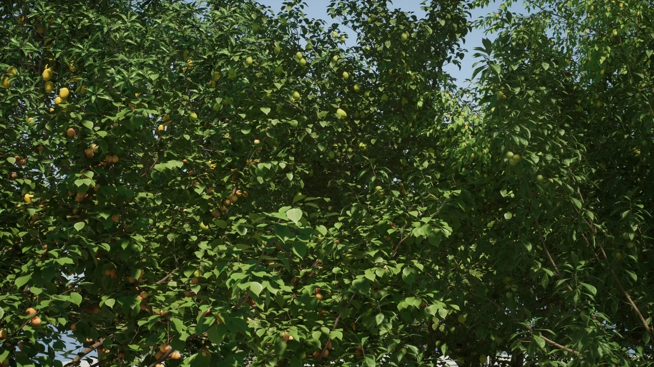 Fruit Tree V2