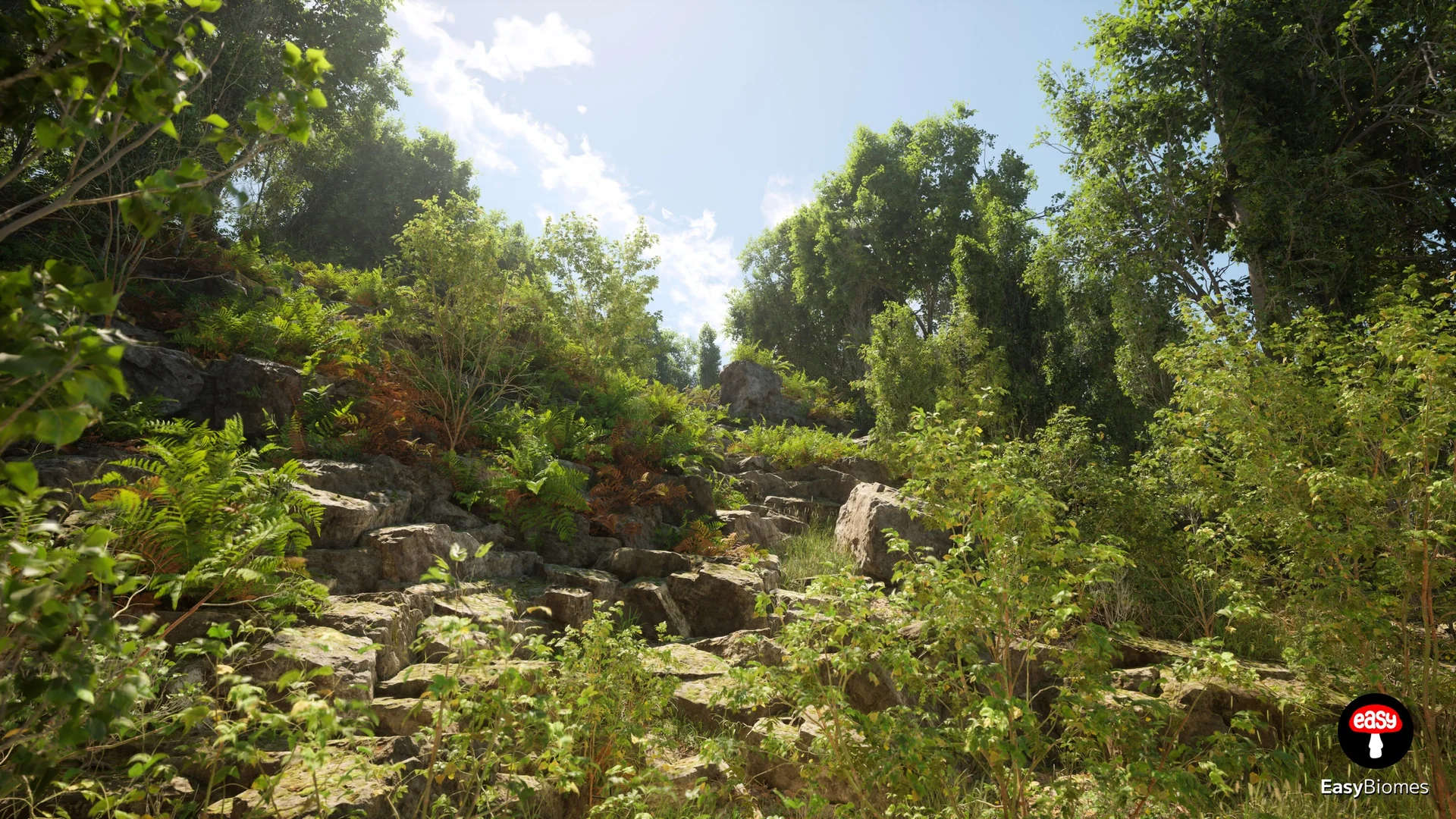 Broadleaf Poplar Forest - PCG Biome